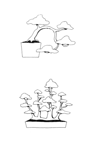 Bonsai Half Cascade Style, Bonsai Raft Style Coloring Page